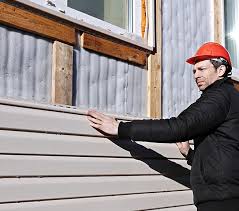 Best Historical Building Siding Restoration  in Huntington, VA